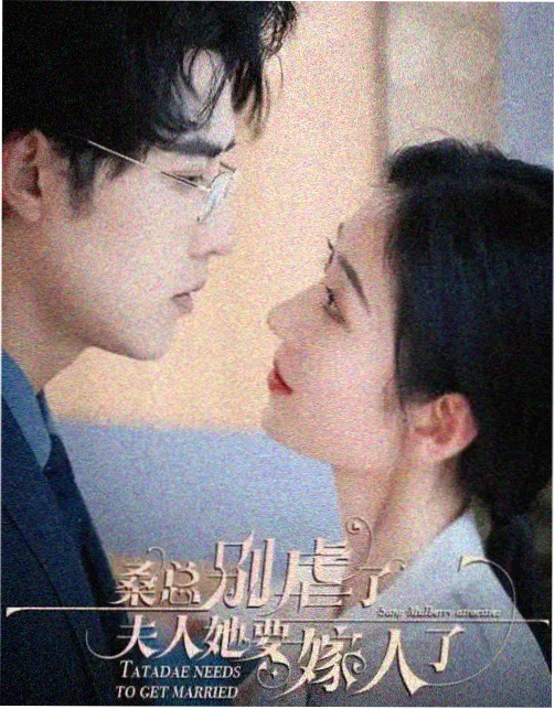 短剧专栏图鉴封面